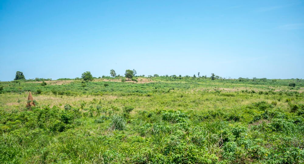 Site bingerville11