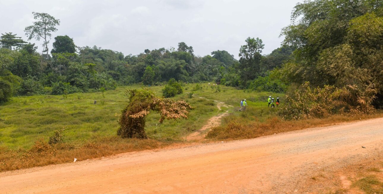 Site Alepe11