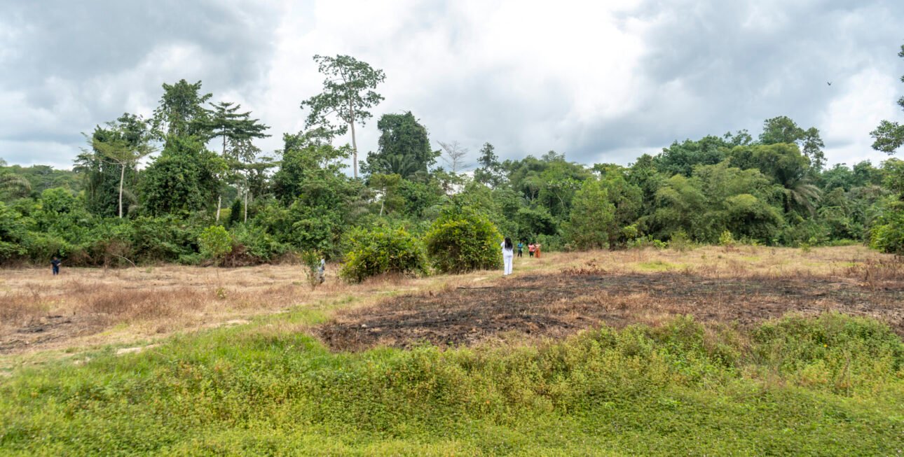 Site Alepe2