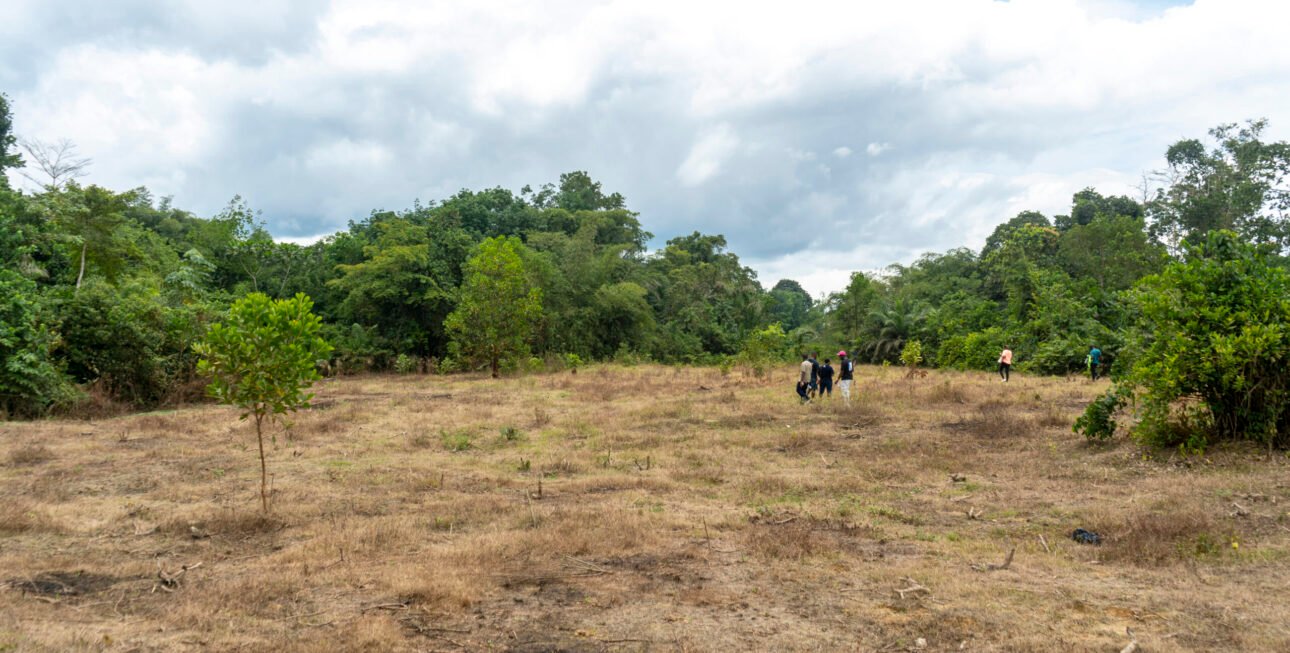 Site Alepe3