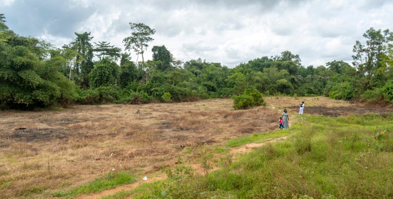 Site Alepe5