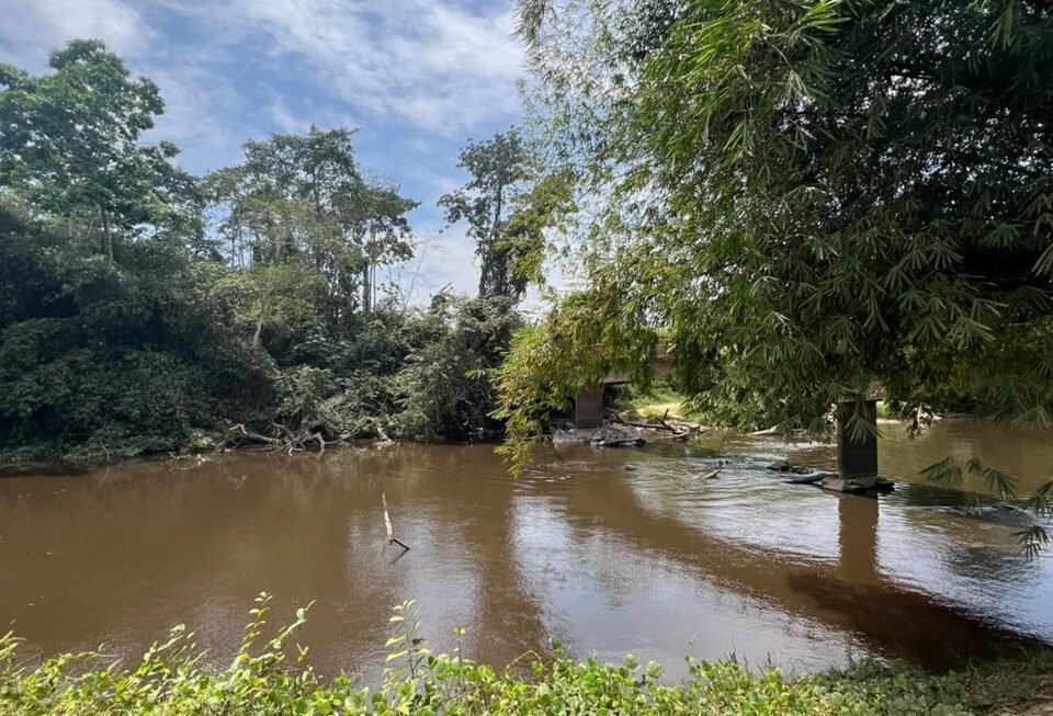 Site Alepe6