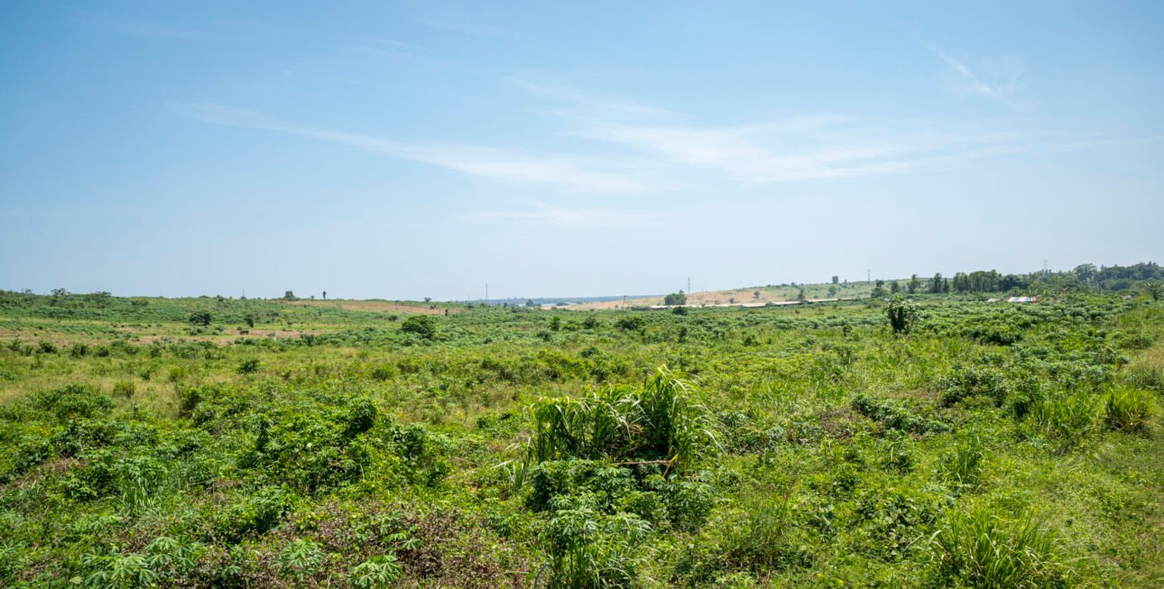 Site bingerville10