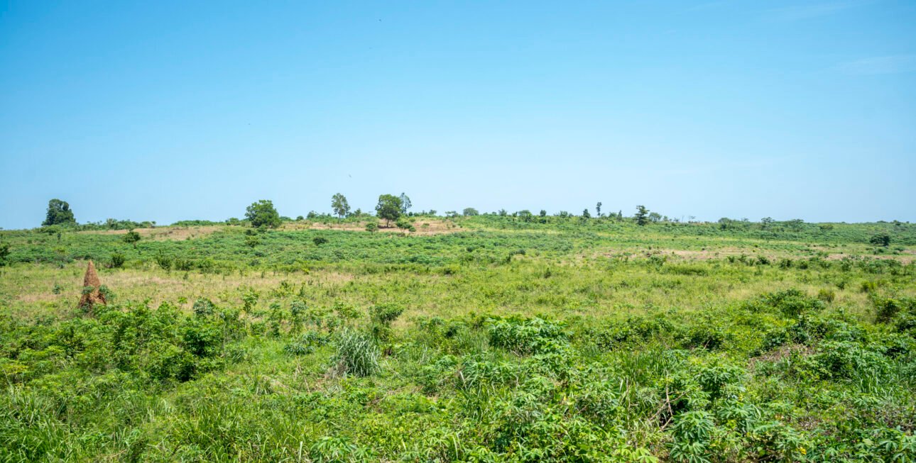 Site bingerville11