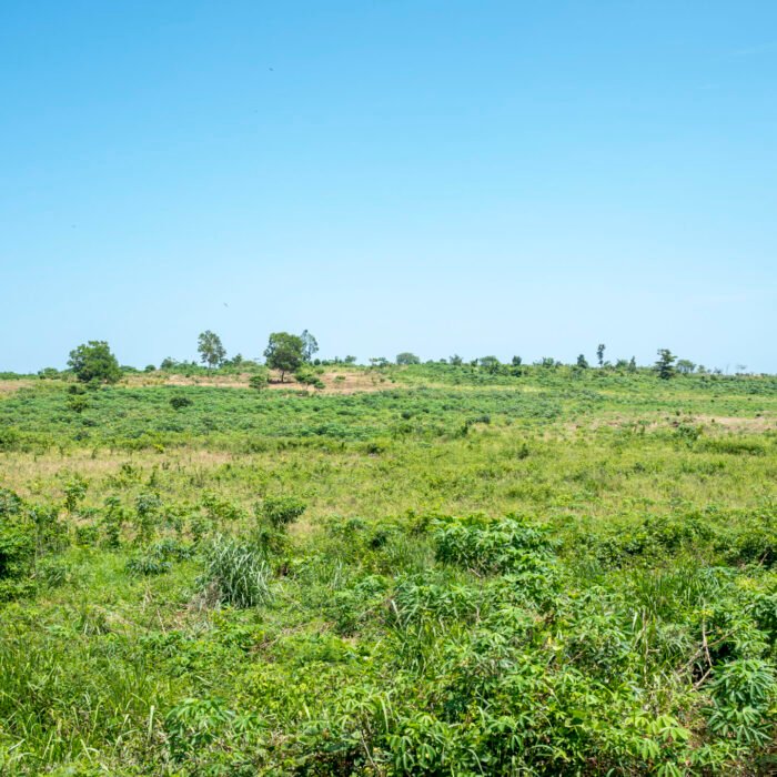 Site bingerville11