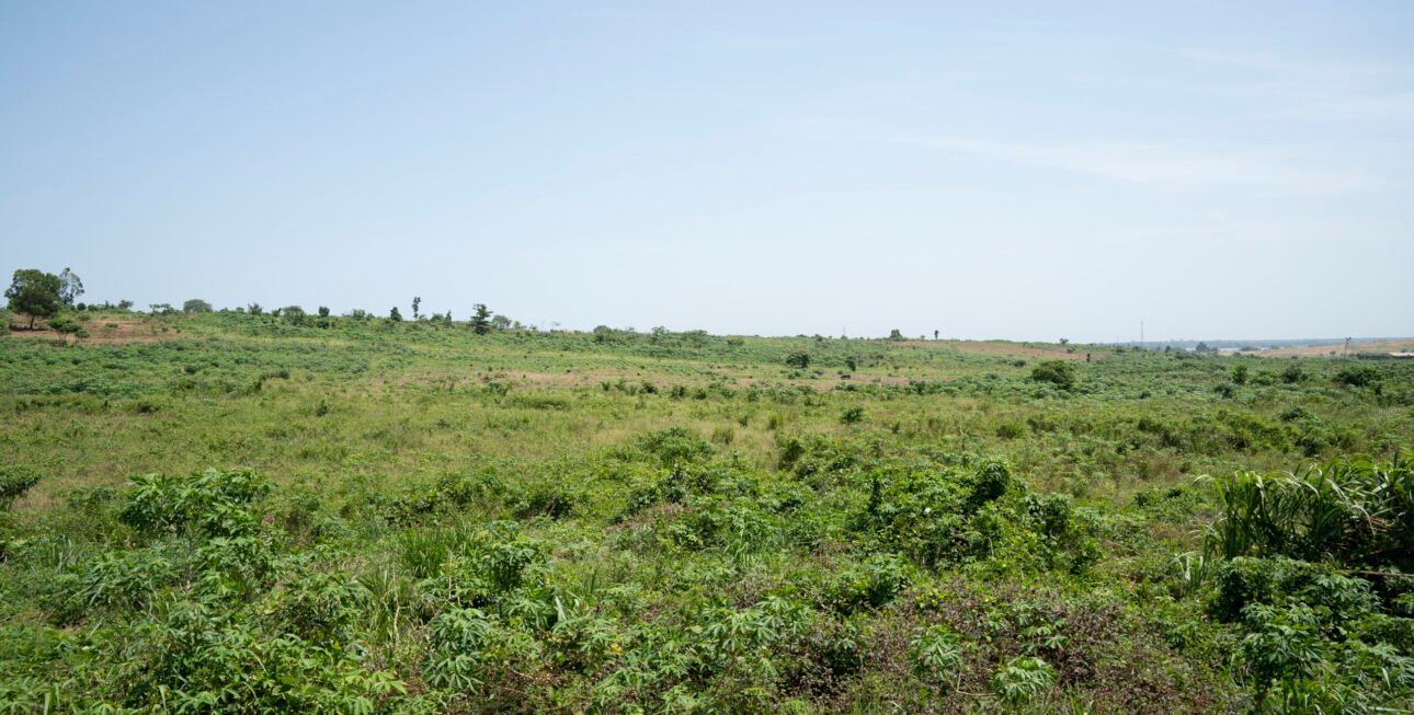 Site bingerville3