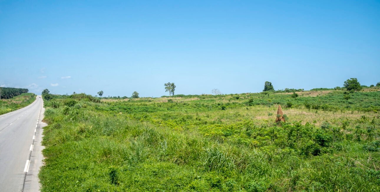 Site bingerville6
