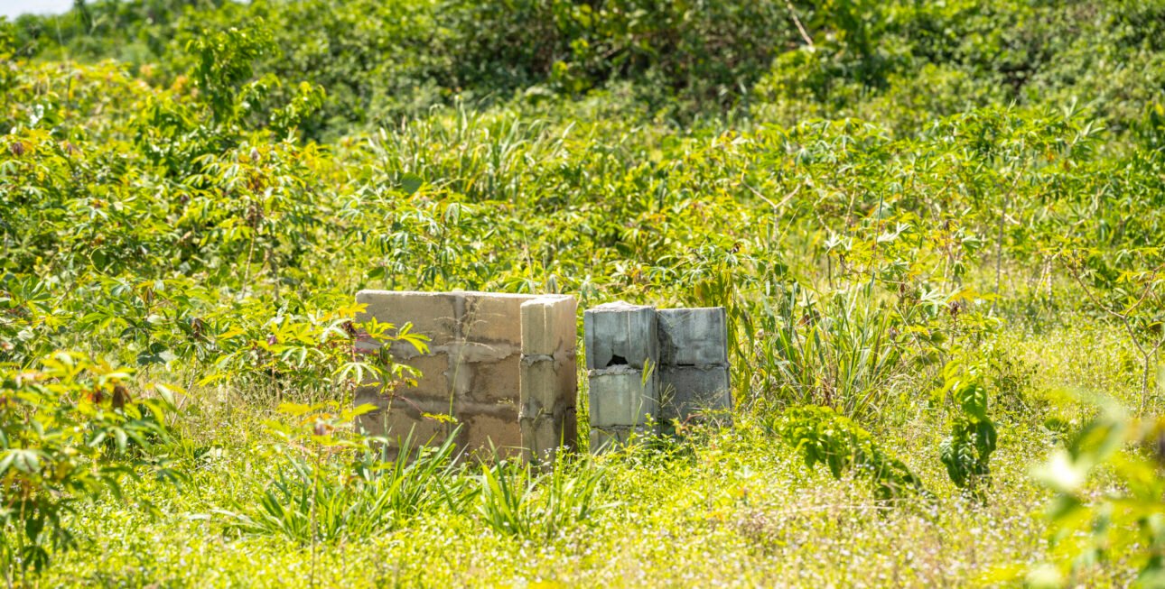 Site bingerville7