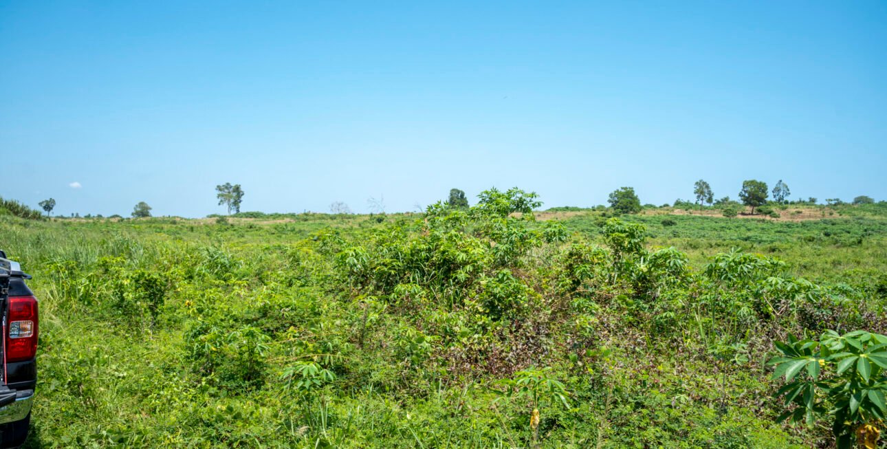 Site bingerville8